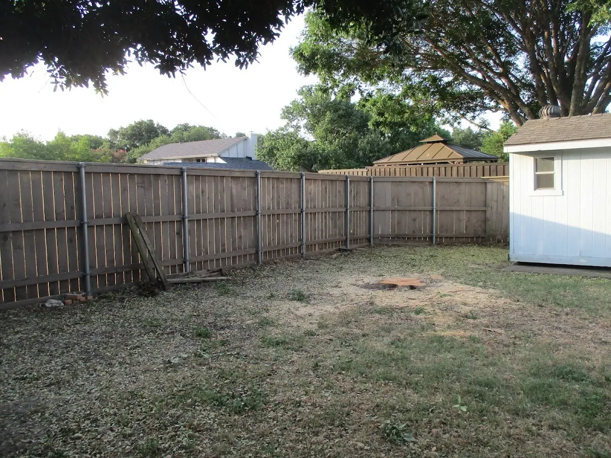 Cleared yard after professional tree removal in Blackwood